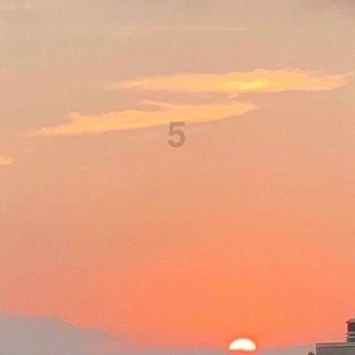 燃烧吧大脑装瓶子游戏