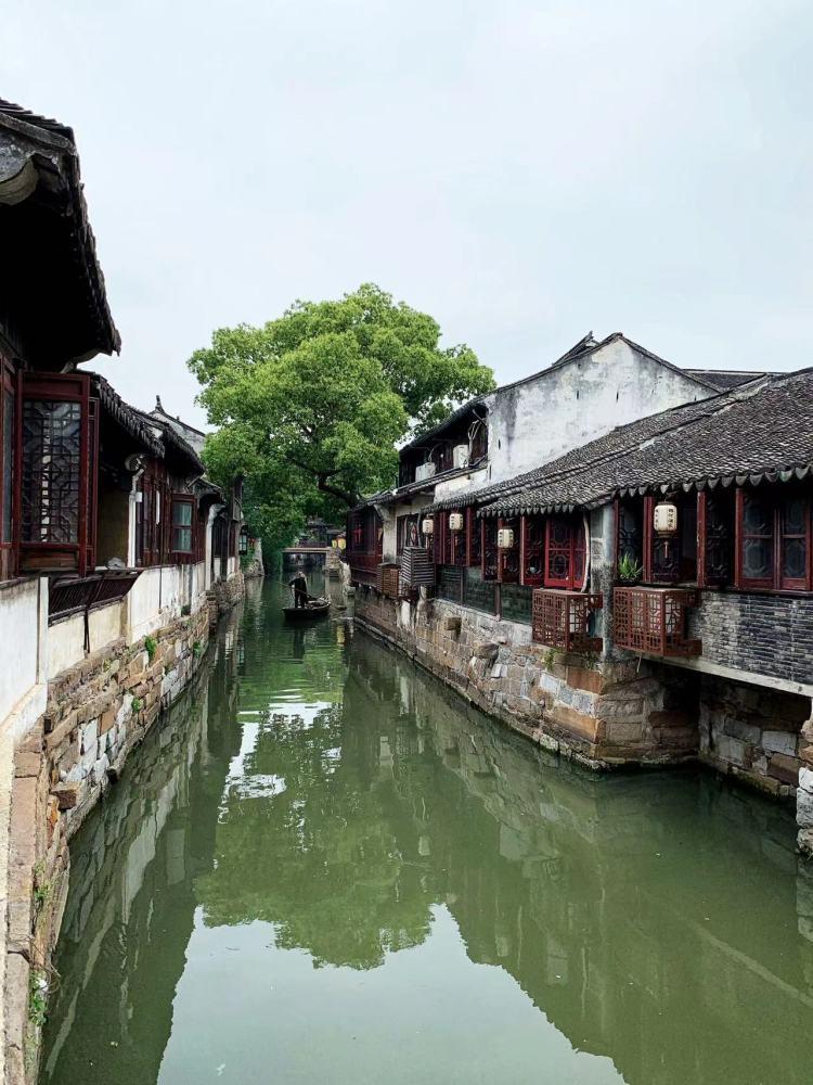 此人是中山先生唯一不肯原谅之人，生前拥兵数万，死后无钱买棺